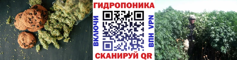 закладка  Воркута  Canna-Cookies марихуана 