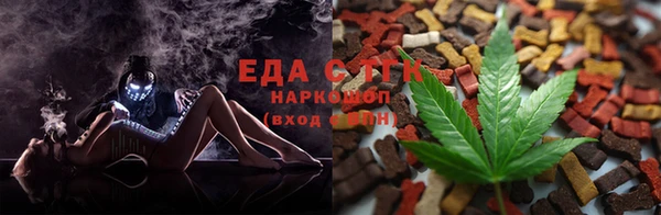 трава Белокуриха