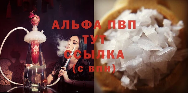 трава Белокуриха
