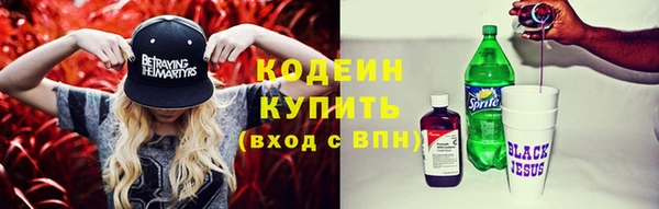 трава Белокуриха