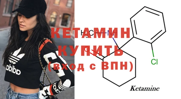трава Белокуриха