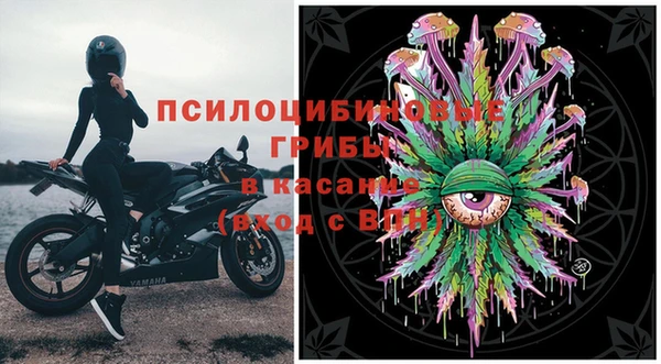 трава Белокуриха