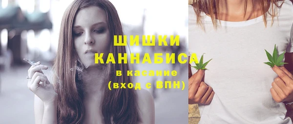 трава Белокуриха