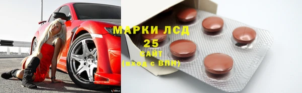 трава Белокуриха