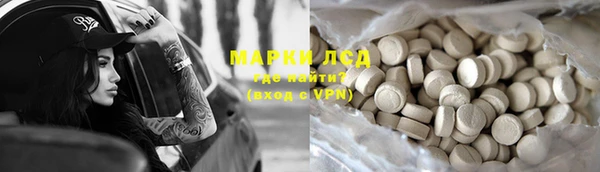 трава Белокуриха