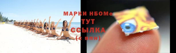 трава Белокуриха
