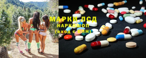 трава Белокуриха