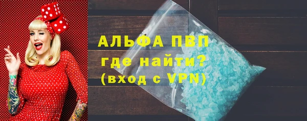 трава Белокуриха