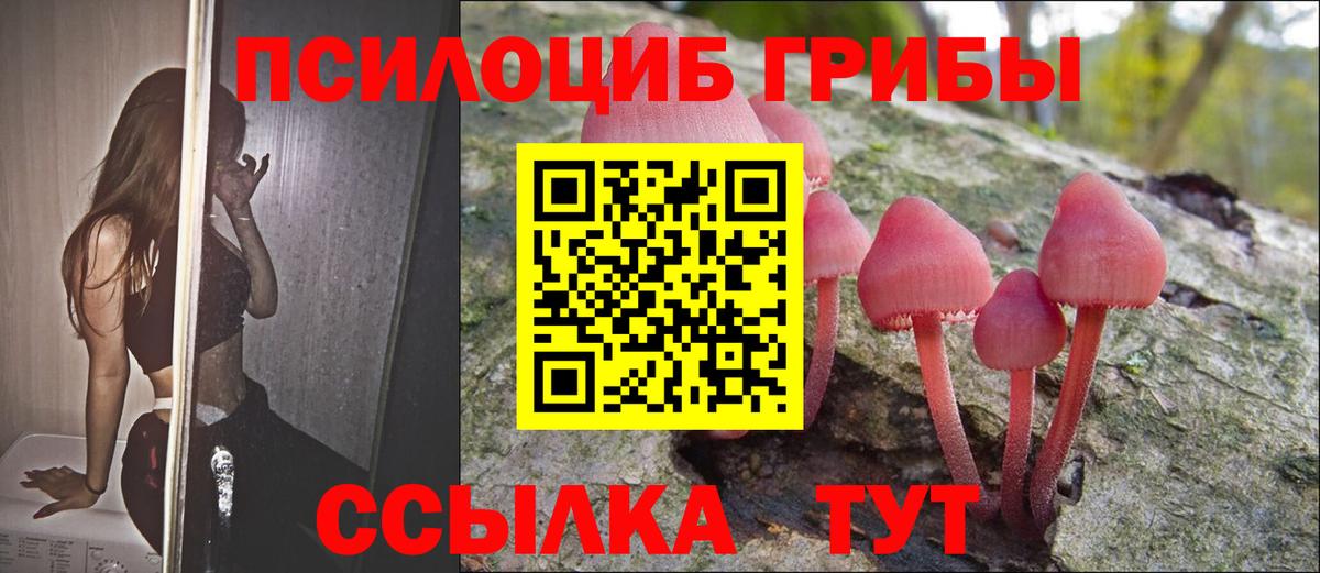 Галлюциногенные грибы ЛСД Воркута