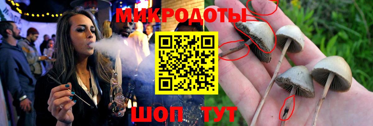 Галлюциногенные грибы Psilocybine cubensis  магазин продажи   Воркута  Вход с VPN 